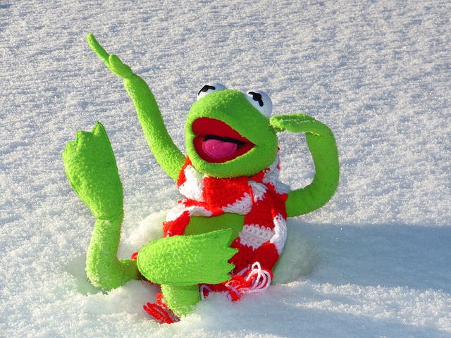 žabák na sněhu